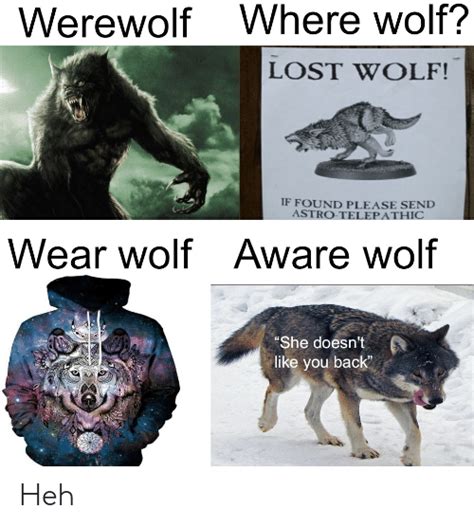 Where Wolf Werewolf Lost Wolf If Found Please Send Astro Telepathic Aware Wolf Wear Wolf She