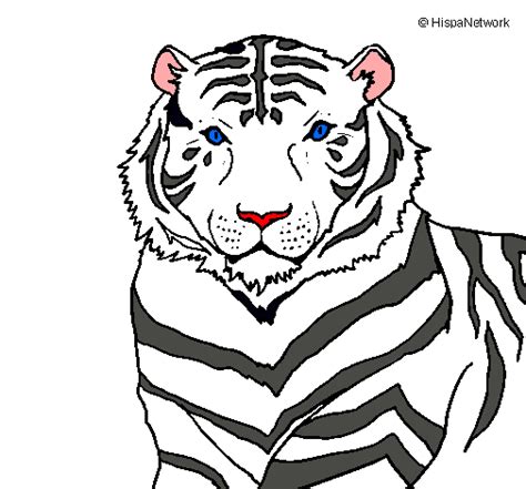 Dibujo De Tigre Pintado Por Federica2101 En El Día 01 02 12