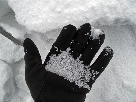 Graupel Rimed Particles