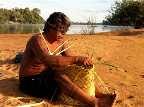 Indigene Völker Im Regenwald Global 2000