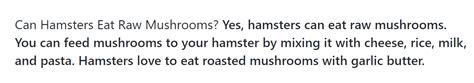 This Is Probably The Most Bizarre Piece Of Hamster Advice I Have Ever
