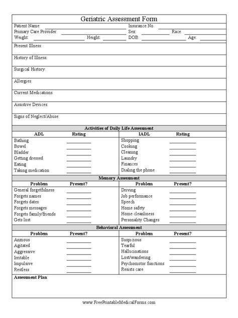 Geriatric Assessment Form Pdf Geriatrics Clinical Medicine