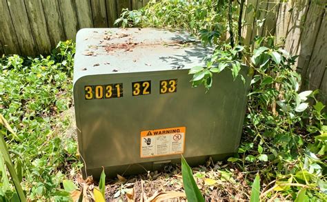 Tips For Maintaining A Green Electrical Box Outside Your House How