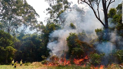 Australian Woman Dumps Remains Of Her Bushfire Ravaged Home Outside