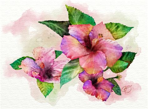 Hibiscus Artrage 5 Painting Watercolor Paintings Artrage