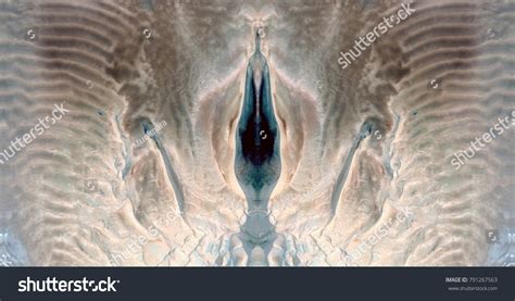 Sex Pussy Vulva Clitoris Vagina Orgasm Stock Foto Shutterstock