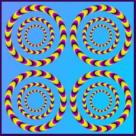 Four Circles Optical Illusion 12 Pictures That Fool Your Brain