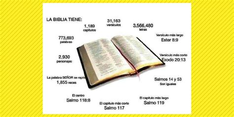 12 Curiosidades De La Biblia Infogram