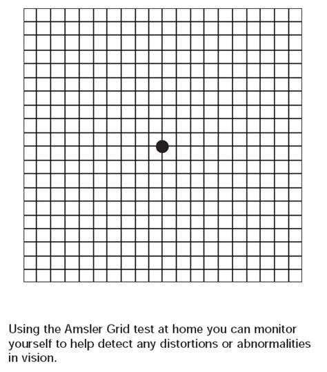 Large Printable Amsler Grid