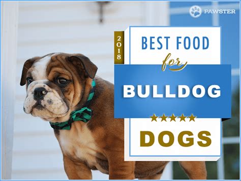 Best Food For American Bulldog