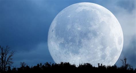 Supermoon Biggest Moon Of The Century Lulu ♥s