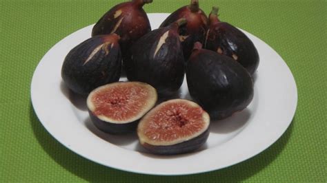 Black Mission Figs How To Eat Fresh Figs Youtube