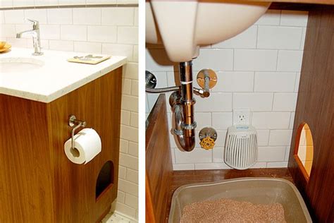 See numbered descriptions below for clues. Under Bathroom Sink Organizer for Daily Use - HomesFeed