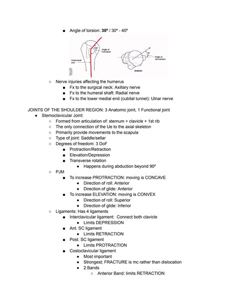 Solution Upper Extremity Anatomy And Kinesiology Studypool