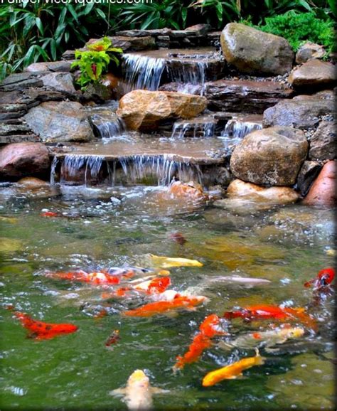 55 Most Popular Pond And Water Garden Ideas For Beautiful Backyard