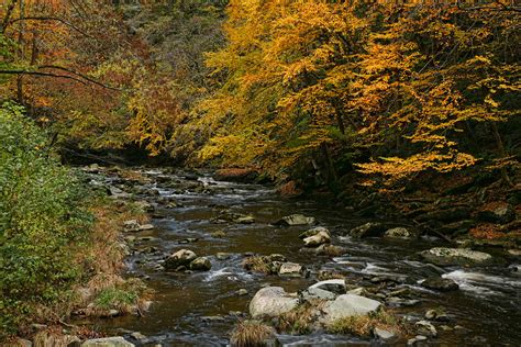 Autumn Mountain Stream Photograph By Shari Jardina Fine Art America