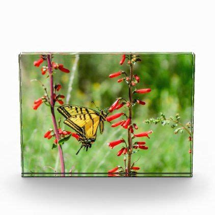 Tiger Swallowtail Butterfly And Wildflowers Photo Block Home Gifts
