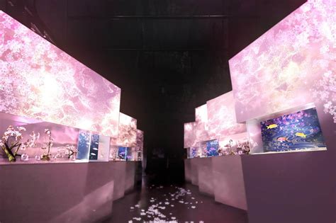 Naked Sakura Aquarium At Maxell Aqua Park Shinagawa Japan Web Magazine