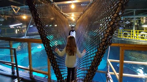 Adventure Aquarium In New Jersey Where The Wild Kids Wander A