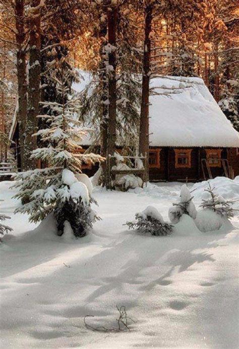 A Cabin In The Woods With Snow On The Ground And Pine Trees Covered In Snow