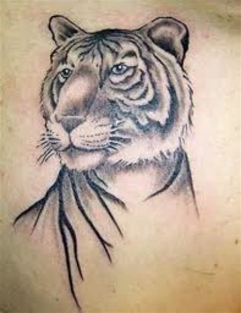 Tiger Tattoo Designs Ideas And Meanings Tatring