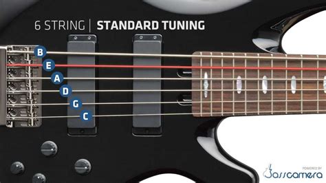 Bass Tuning 6 Strings Standard Beadgc Hd Youtube