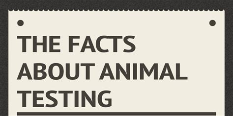 The Facts About Animal Testing Infogram
