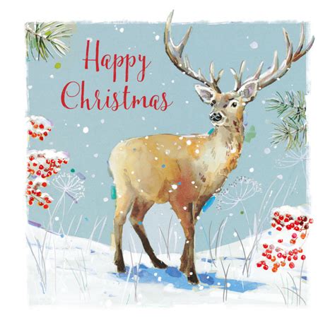 Pack Of 6 Snowy Stag Charity Christmas Cards Supporting Multiple
