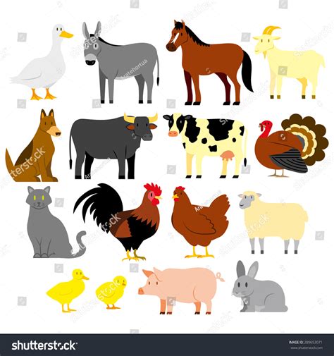 Vector Set Cartoon Farm Animals Isolated Stock Vector Royalty Free