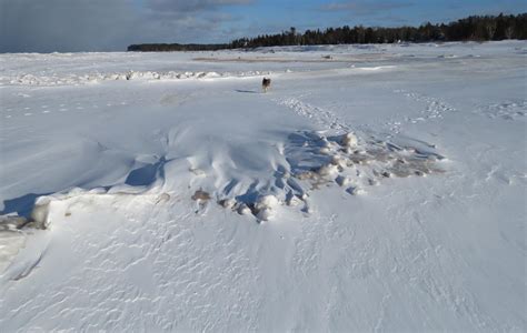 The Agatelady Adventures And Events Very Cold Beach Snowshoe