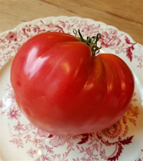 Anna Russian Tomato