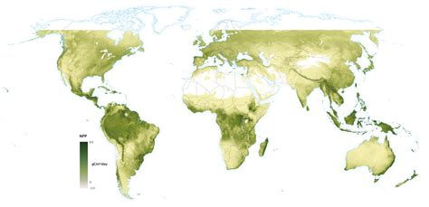 Wad World Atlas Of Desertification