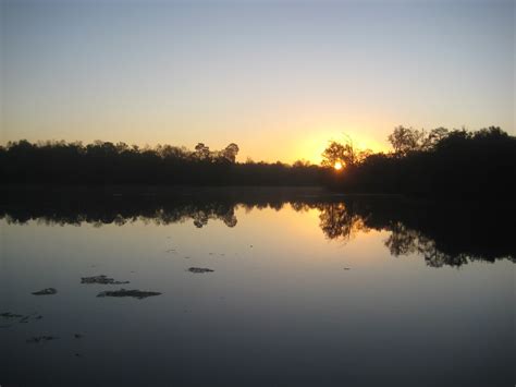Maybe you would like to learn more about one of these? Living Life in Louisiana: Lake Fausse Pointe State Park