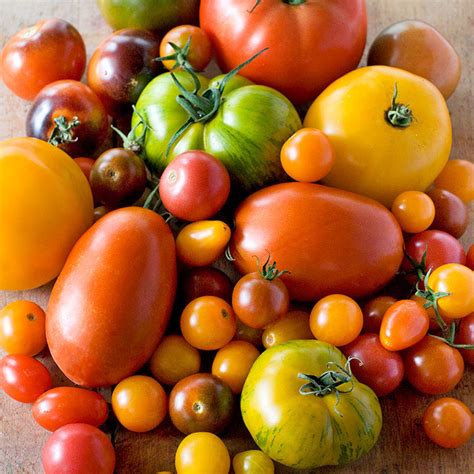 Tomatoes Hatties Garden