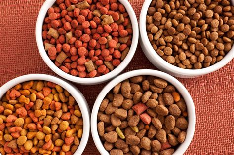 Best Dog Food For Pitbulls To Satisfy Their Nutritional