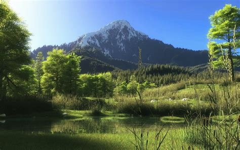 Green Forest Under The Mountain Nature Tree Mountain Forest Lake