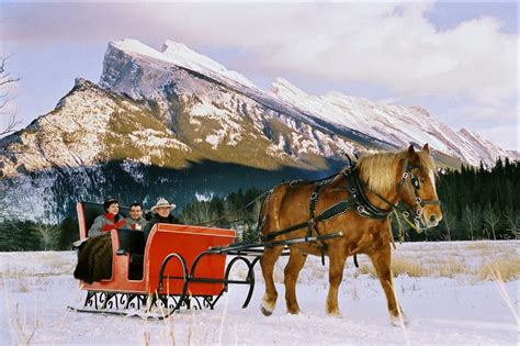 Would Love To Do This Sleigh Ride Winter Scenes Banff