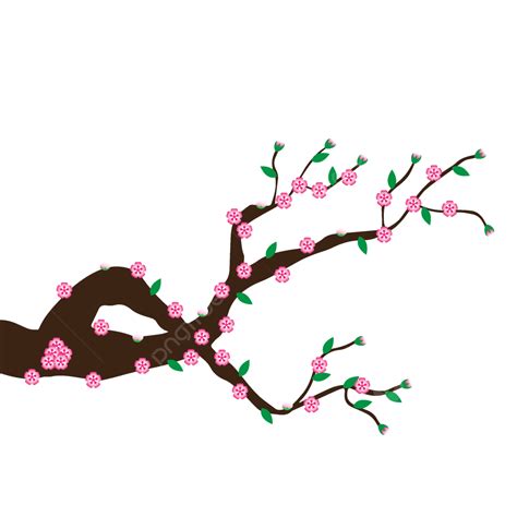 Single Cherry Blossom Clipart PNG Images Cherry Blossoms Asian Vector