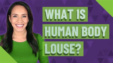 What Is Human Body Louse YouTube