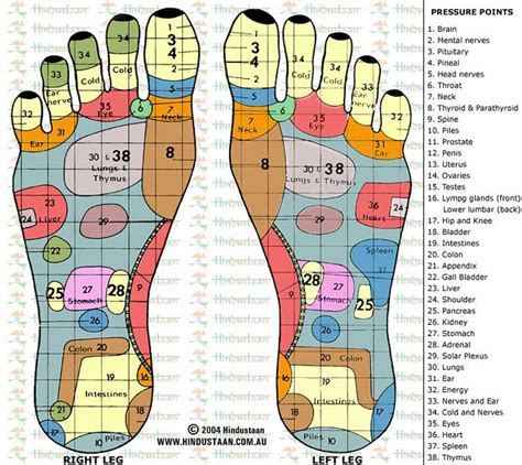 Reflexology Pressure Points Of The Feet A Photo On Flickriver