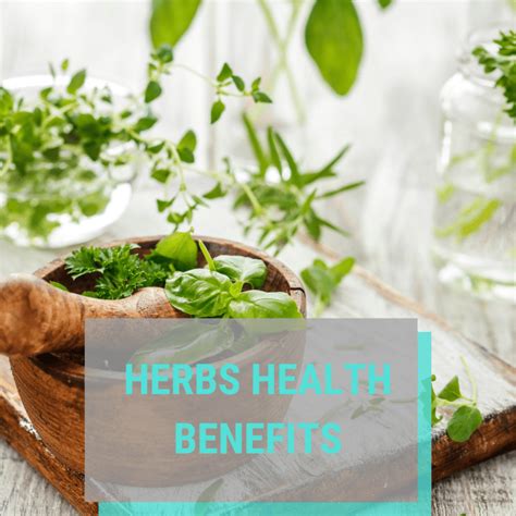 The Health Benefits Of Herbs Form Fit Online