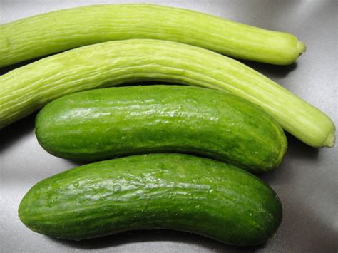 Two Varieties Of Cucumber Sangaaas Blog