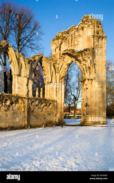 St Marys Abbey In Winter York Yorkshire England Stock Photo Alamy