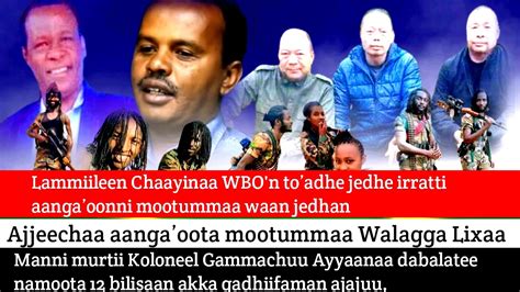 Oduu Bbc Afaan Oromoo May 172021 Youtube