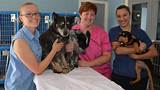 Pictures of Summit Veterinary Clinic