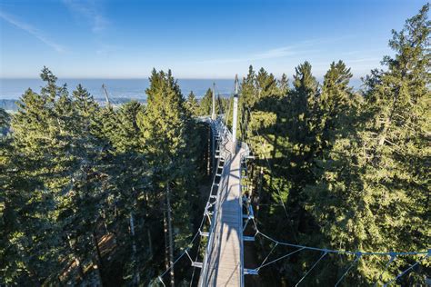 Auf dem baumwipfelpfad wandern sie durch die baumkronen. Skywalk Allgäu - Mein-Bodensee