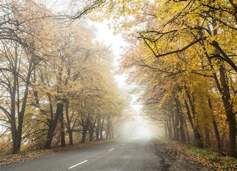 Foggy Autumn Road Stock Photo Image Of Beautiful Outdoors 34402060