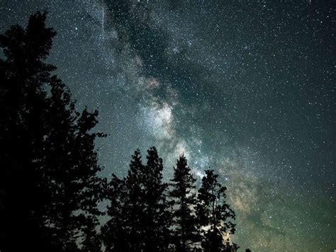 The Milky Way Is Visible Above Old Growth Forest At The