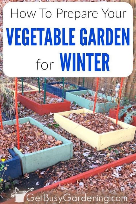 It was sweaty hard work, but it didn't take. How To Prepare Your Vegetable Garden For Winter (With ...
