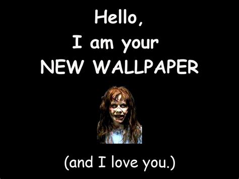 Funniest Wallpapers Ever Wallpaper Cave